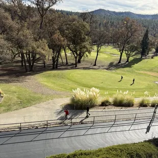 outside, burritos and wraps