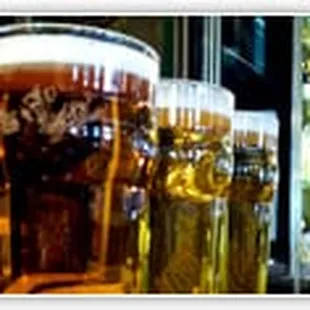 a row of beer glasses