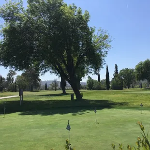 Golf course view while you dine.
