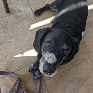 Dog friendly outside!