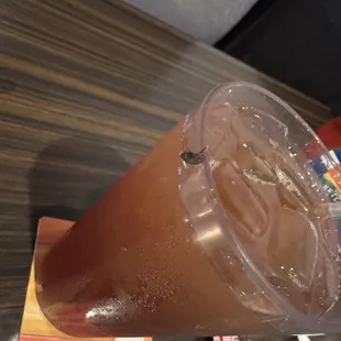 fly in iced tea