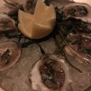 OYSTERS