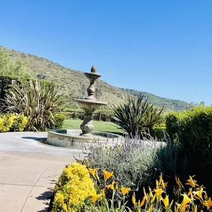 a fountain surrounded by yellow flowers