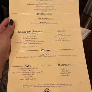 a hand holding a menu