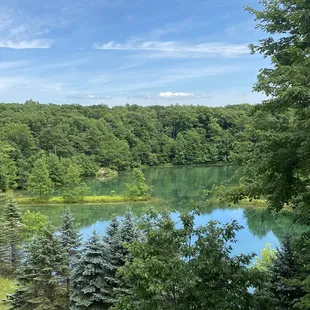 a lake surrounded by trees
