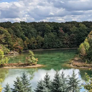 a lake surrounded by trees