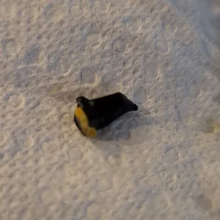 Hard piece of black plastic in the chicken and rice.