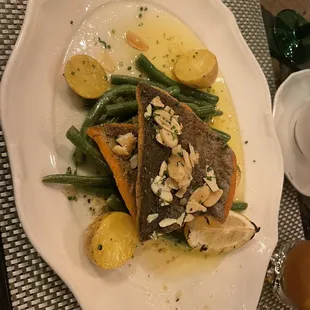 Mountain trout.