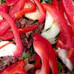 Customized Salad ~ Carne Asada, Romaine Lettuce, Red Bell Peppers, and Cucumbers