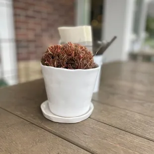 Cute table centerpiece