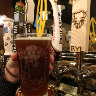 a person holding a pint of beer