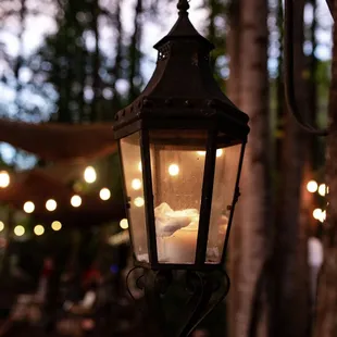 Lanterns in The Grove