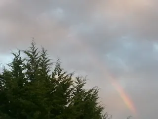 Bloomin' Bluegrass Festival & Chili Cook-Off