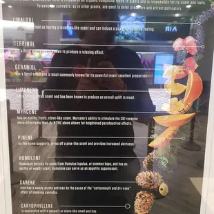 Welcome to the Grove!