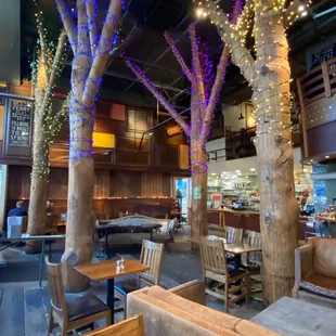 Interior of restaurant