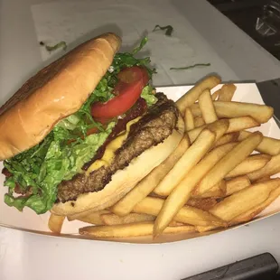 a hamburger and french fries