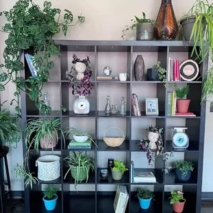 Earthy, eclectic vibe