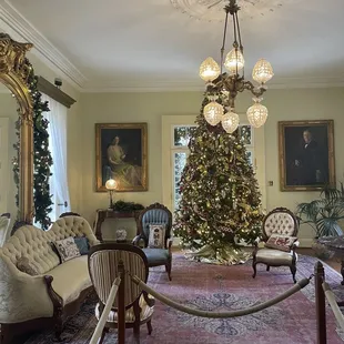 a christmas tree in the living room