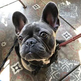 Thank you for Being Our Guest