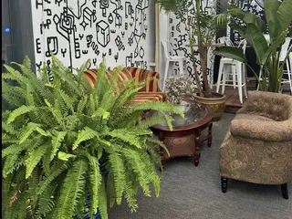 Trophy Wife Bar - Kitchen - Garden