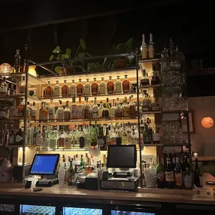 Bar!