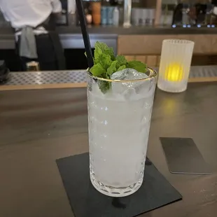 a glass of water with a mint leaf garnish