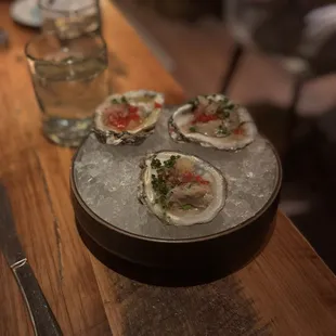Oysters