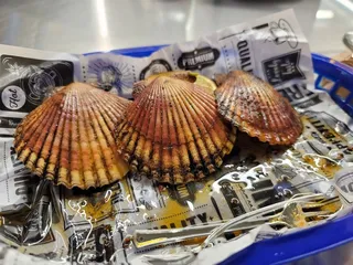 Roxy & Jo's Seafood Grill & Oyster Bar