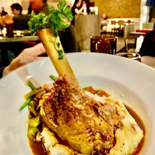 Lamb Shank-03/2023