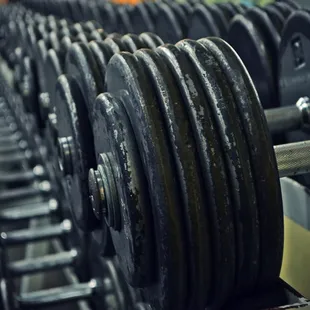 Plenty of free weights available.