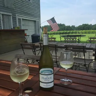 Chardonel under the Pergola