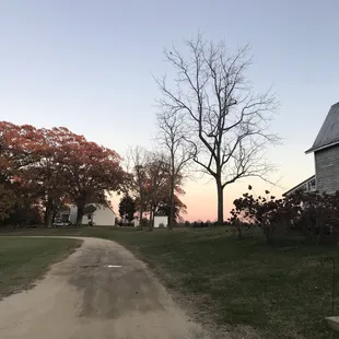 Sunset and view of lane leading up to barn.