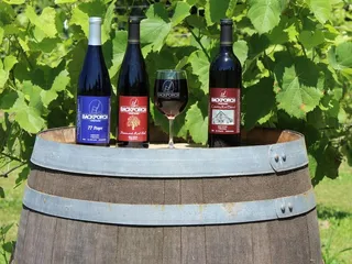 Backporch Vineyard