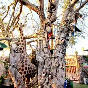 Unique decor inside n outside.  Wow,,over an hour wait.. this place a hoppin' in AJ.