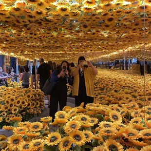 Van Gogh Alive Exhibit