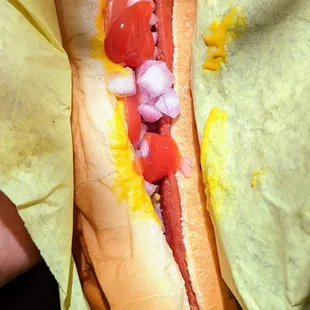 Grilled hot dog