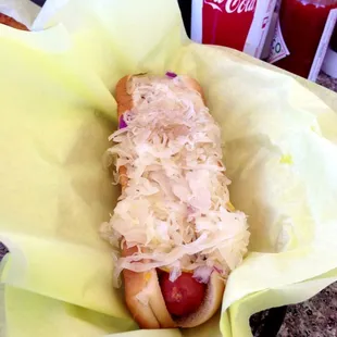 Kraut Hound