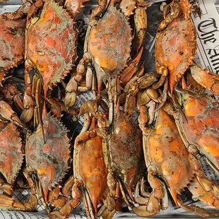 a tray of crabs