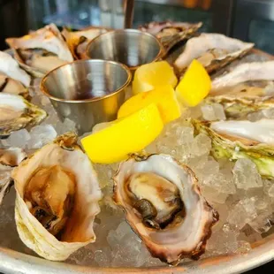 shellfish, food, mussels, oysters and mussels, oysters