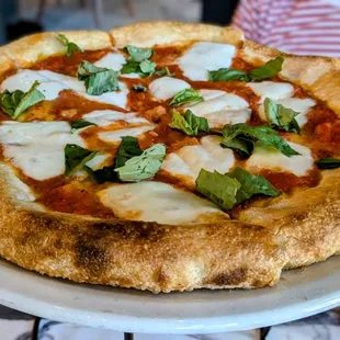 Margherita Pizza