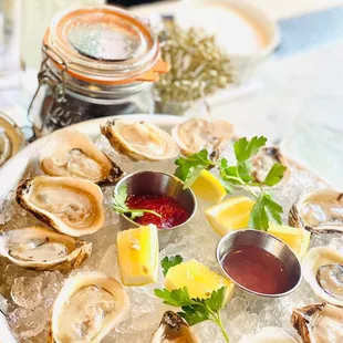 Oyster