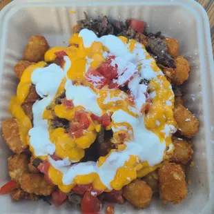 Loaded totchos with cane asada. Hella good. Steak was seasoned well.
