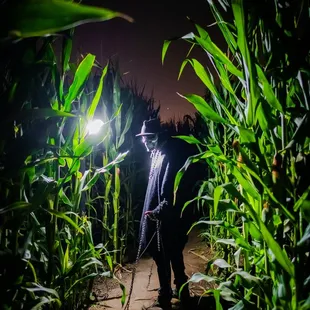 Come find us in the corn!