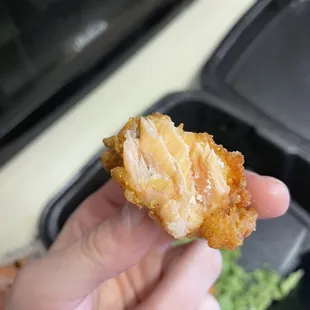 Sea lover salmon fried bites