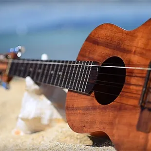 My ukulele and conch shell