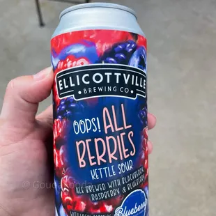 a hand holding a can of blueberries