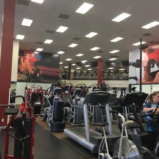 Two floors of cardio!