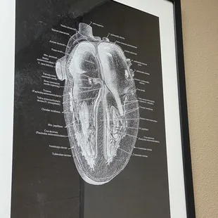 Heart drawing in exam room.