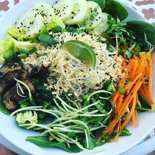 Vietnamese brown rice noodle salad with sesame vinaigrette! Yum!