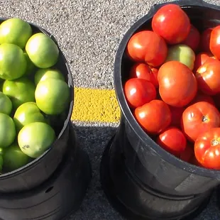two buckets of tomatoes and green apples
